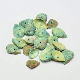 Dyed Natural Ark Shell Beads, Sea Shell Beads