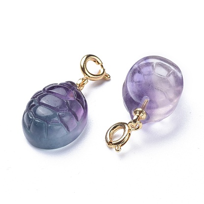 Carved Natural Fluorite Pendants, with Brass Spring Ring Clasps, Long-Lasting Plated, Tortoise Shell Shape
