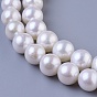 Natural Cultured Freshwater PearlBeads Strands, Round, 10~11mm, Hole: 0.8mm, about 42pcs/strand, 15.7 inch
