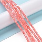 Natural Trochus Shell Beads Strands, Dyed, Column