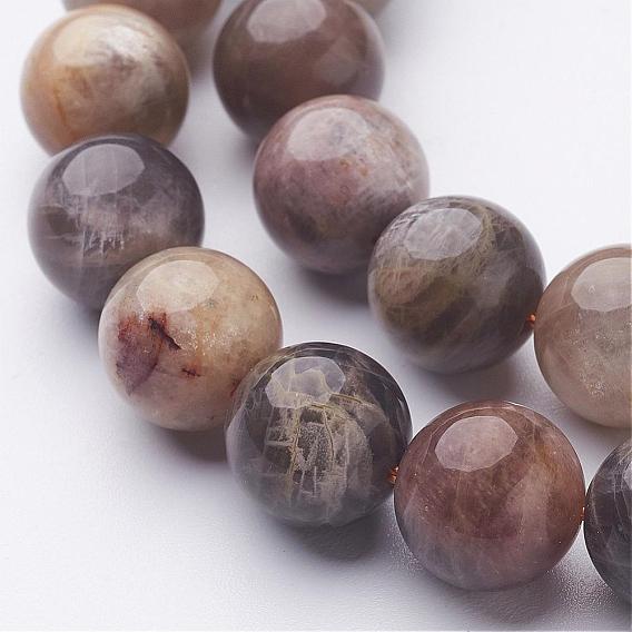 Brins de perles de pierres noires naturelles, ronde