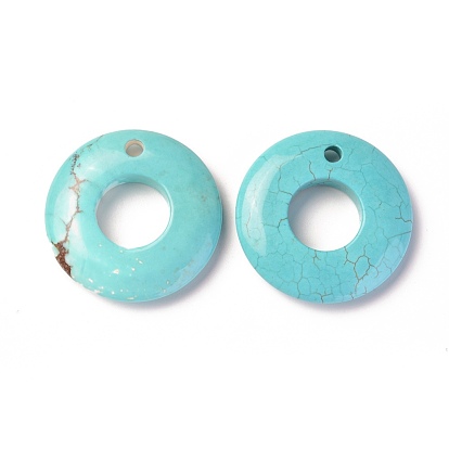 Natural Howlite Pendants, Dyed, Donut/Pi Disc