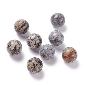 Natural Map Stone Beads, No Hole/Undrilled, for Wire Wrapped Pendant Making, Round