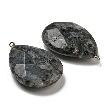 Natural Labradorite Pendants, Faceted Teardrop with Stainless Steel Color Tone 301 Stainless Steel Loops