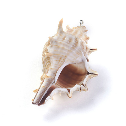 Spiral Shell Pendants, with Alloy Finding