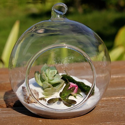 Transparent Wall Hanging Glass Ball Planter Terrarium Container Vase, Flat Base, Perfect for Home Decoration, Round