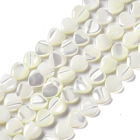 Natural Trochid Shell/Trochus Shell Beads Strands, Heart