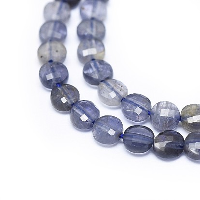 Natural Iolite Beads Strands, Faceted, Flat Round
