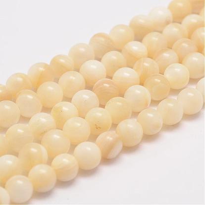 Natural Shell Bead Strands, Round