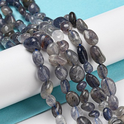 Natural Iolite Beads Strands, Nuggets, Tumbled Stone