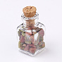 Verre souhaitant décorations de bouteilles, avec des éclats de pierres précieuses à l'intérieur et un bouchon en liège