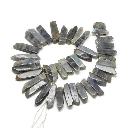 Natural Labradorite Beads Strands, Top Drilled Beads, Rectangle