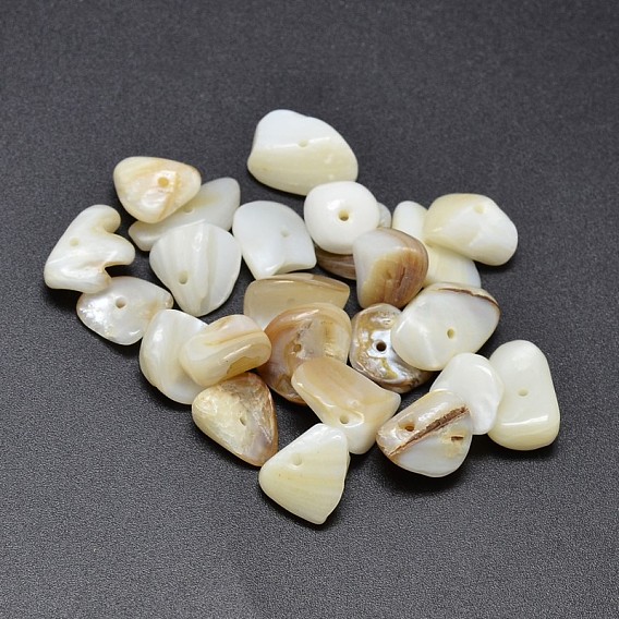 Pépites de coquillages d'eau douce naturelles, chips, perles, 6~20x9~10mm, Trou: 1mm, environ400 pcs / 500 g