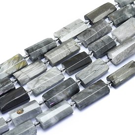 Natural Eagle Eye Stone Beads Strands, Rectangle, Faceted