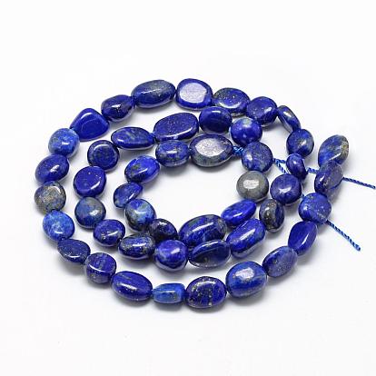 Lapis-lazuli, brins de perles naturels , ovale