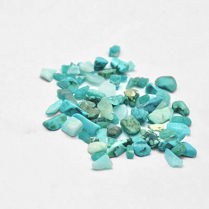 Perles de puces turquoise synthétique, pas de trous / non percés, 2~8x2~4 mm, environ 8500 pcs / 500 g