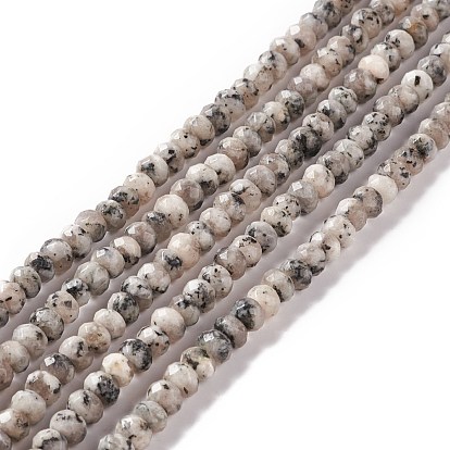 Brins de perles rondelles de jaspe de sésame naturel teint/jaspe de kiwi, facette
