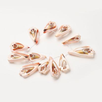 Chapelets de perles de coquillage naturel, triangle