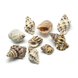 Pendentifs coquille de conque
