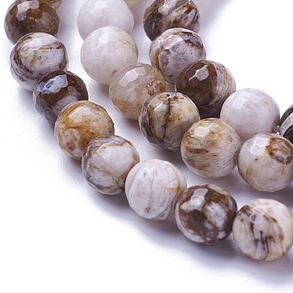 Natural Petrified Wood Beads Strands, Faceted, Round