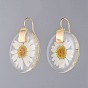 Alloy Resin Dangle Earrings, with Dried Flower and Brass Hoop Earrings, Flat Round