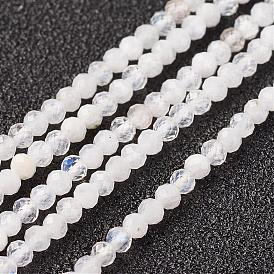 Natural Rainbow Moonstone Bead Strand, Round, Faceted