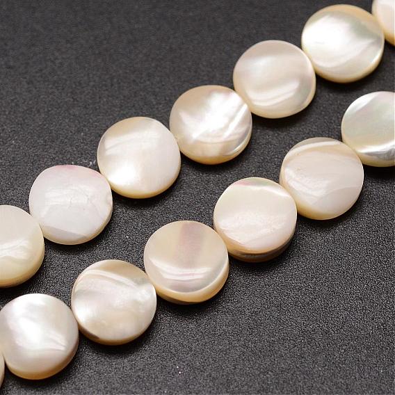 Brins de perles de coquille de trochid / trochus shell, plat rond, 8x3~3.5mm, Trou: 1mm, Environ 51 pcs/chapelet, 15.75 pouce