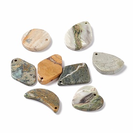 Natural Polychrome Jasper/Picasso Stone/Picasso Jasper Pendants, Flat Round & Heart & Teardrop & Rhombus & Moon