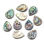 Abalone Shell/Paua Shell Beads, Drop