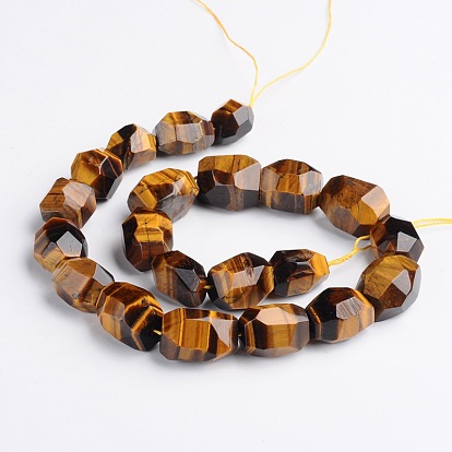 Nuggets Natural Tiger Eye Beads Strands, 15~22x8~17mm, Hole: 1mm, about 18~22pcs/strand, 15 inch