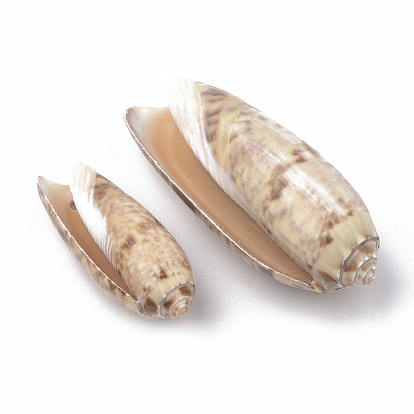 Colgantes de concha de caracol