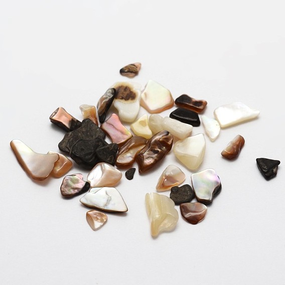 Pas de perles de coquillage trou de mer naturelle, 5~17x5~17 mm, environ 2994 pcs / 500 g