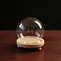 High Borosilicate Glass Dome Cover, Decorative Display Case, Cloche Bell Jar Terrarium with Feet Wood Base