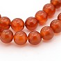 Gemstone Beads Strands, Natural Carnelian, Dyed, Round, Red, 8mm, Hole: 1mm, about 49pcs/strand, 15~16 inch