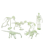 Modelo de esqueleto de dinosaurio de plástico artificial luminoso, brillan en la oscuridad, para decoración de broma de halloween