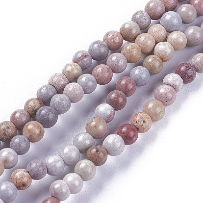 Natural Fossil Coral Beads Strands, Dyed, Round