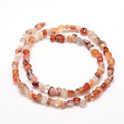 Dyed Natural Carnelian Beads Strands, Nuggets