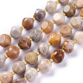 Natural Fossil Coral Beads Strands, with Seed Beads, Six Sided Celestial Dice