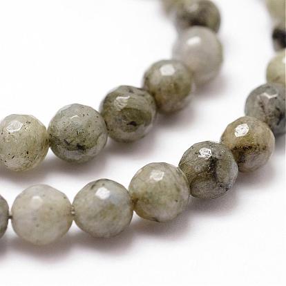 Natural Labradorite Beads Strands, Faceted, Round