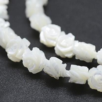 Natural White Shell Beads Strands, Mother of Pearl Shell Beads, Double-sided Rose