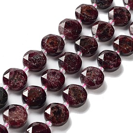 Natural Garnet Beads Strands, with Seed Beads, Faceted Hexagonal Cut, Flat Round
