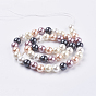 Perles de perles de nacre de coquillage, ronde