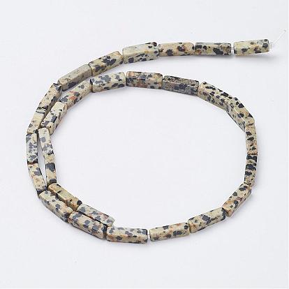Natural Dalmatian Jasper Beads Strands, Cuboid