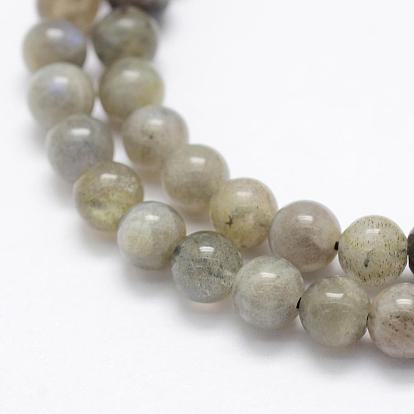 Natural Labradorite Beads Strands, Grade A-, Round