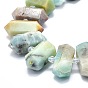 Brins de perles d'amazonite de fleurs naturelles, facette, pointu/puce à double terminaison