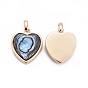 Natural Abalone Shell/Paua ShellCharms, with Brass Findings, Heart