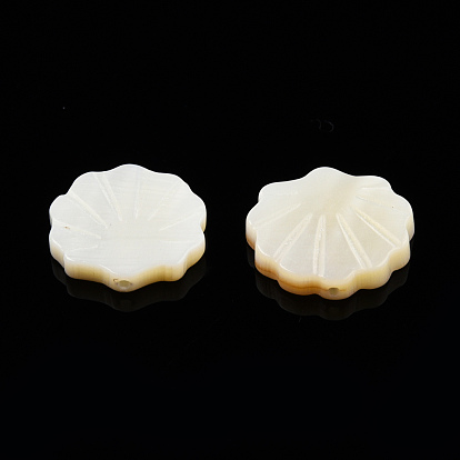 Natural Freshwater Shell Beads, Scallop Shape