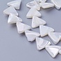 Chapelets de perles de coquillage, triangle