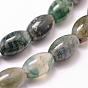 Natural Moss Agate Beads Strands, Rice