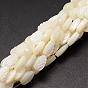 Natural Trochid Shell/Trochus Shell Beads Strands, Leaf, 9x6x3~4mm, Hole: 1mm, about 44pcs/strand, 15.35